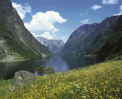 The Magic of the Fjords