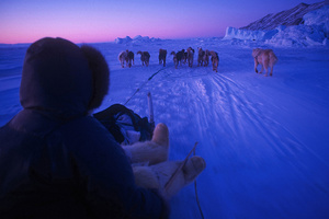 Ice, Northern Lights and Dogsledding in Greenland