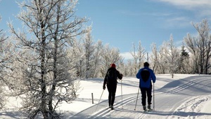 Natural Wonders of Iceland and Norway