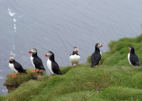 Golden Circle, and South Coast