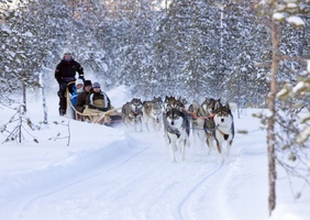 Rovaniemi Winter Experience