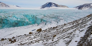 Svalbard: In-Depth Exploration