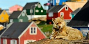 Lofoten Islands and Svalbard