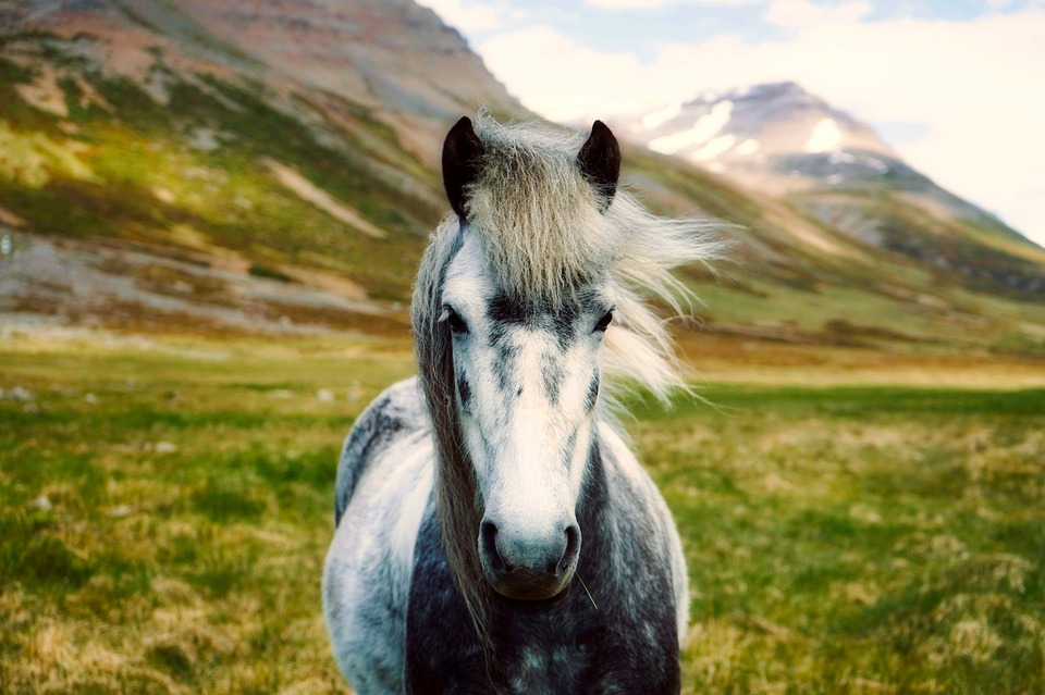 Iceland Unique Place on our Planet