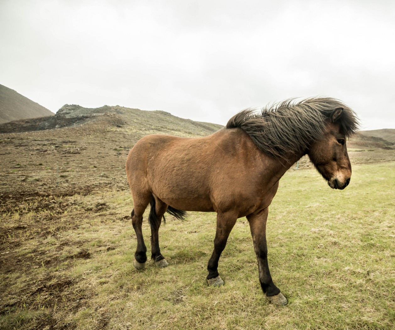 Bus Tours in Iceland | Nordic Saga Tours