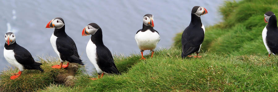 Iceland Classic Circle Tour